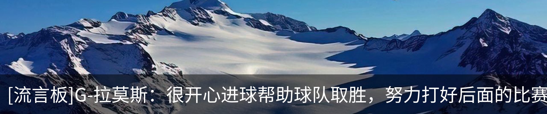 新闻动态